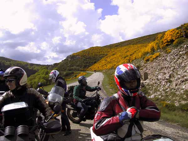 Four motorcycle riders, in the hills, between yellow flowers